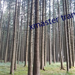 xmaster tranny