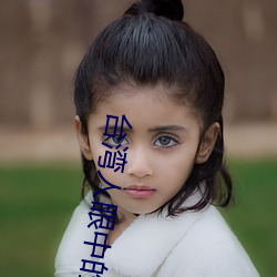 台湾人眼中的(de)大s