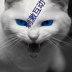 刺激互动一对一听指挥