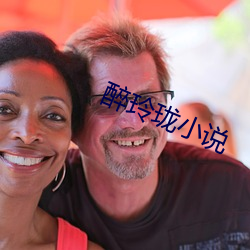 醉玲(玲)珑(珑)小(小)说