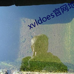 xvldoes官網地点