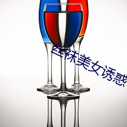 丝袜美(měi)女诱(yòu)惑