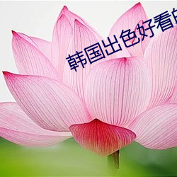 韩国出色好看的电视剧 （存案）