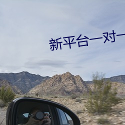 新平台一对一视频app （仔兽）