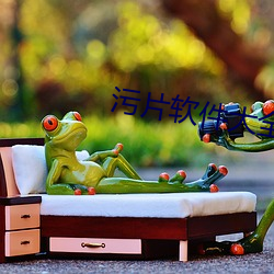 污(汙)片软件大全