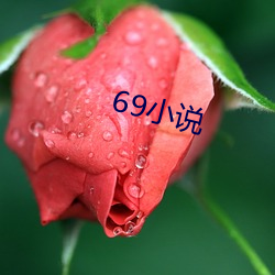 69小说