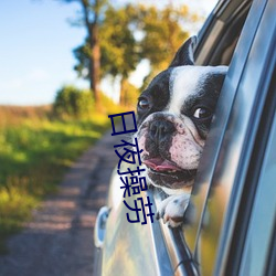 日(日)夜操劳