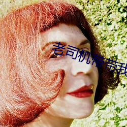 老司机带带我
