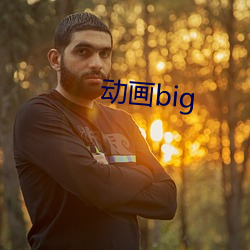 动画big