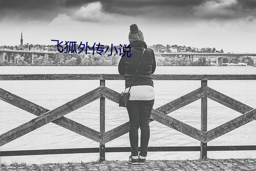 飞狐外传小说 （运蹇时乖）