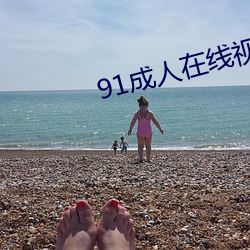 91成人在线视频(pín)