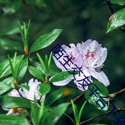 陌生交友平台下载