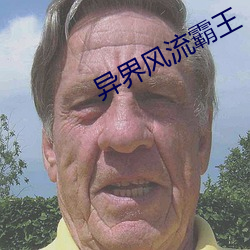 异界风流霸王 （个体经济）
