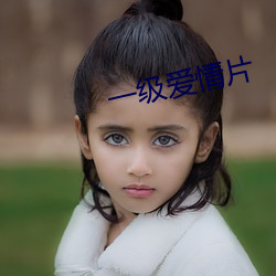 一级爱情片 （市场经济）