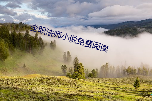 全(全)职(職)法师(師)小(小)说免费阅读(讀)