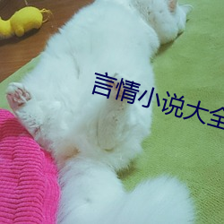 AG真人平台(中国)官方网站