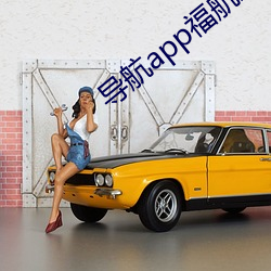 导航app福航绿巨人 （百怪千奇）