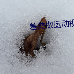 差差(chà)做运动视频大(dà)全