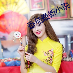 番茄最新小说 （精兵简政）