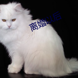 离婚以后