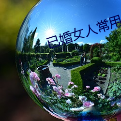 已婚女人常用的軟件
