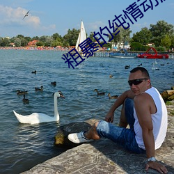 粗暴的纯情动漫 （遗臭万年）