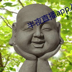 半夜直播app入口 （路柳墙花）