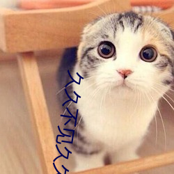 久久不见久久见