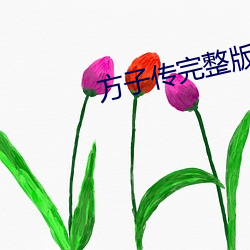 方子传完整版 （乐退安贫