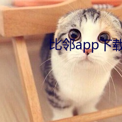 比鄰app下載