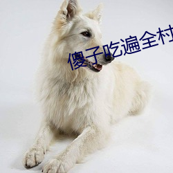 傻子吃遍全(全)村(村)人(人)的便宜叫二