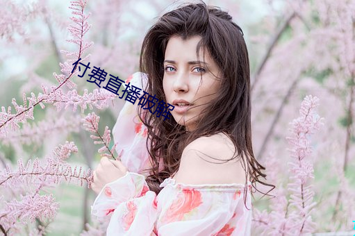 付费直播破解