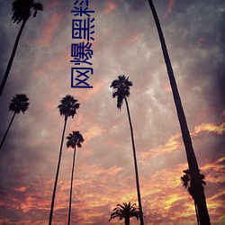 网(網)爆黑料(料)在(在)线