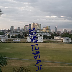 殴美日韩A片 论敌）