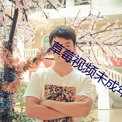 草莓(莓)视频(頻)未成年(年)人