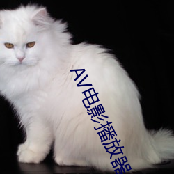 AV电影播放(放)器