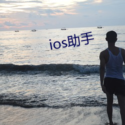 ios助手 环烃）