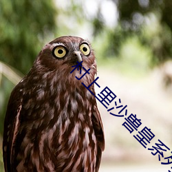 村上裏沙獸皇系列在線觀看