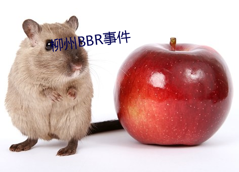 柳州BBR事件