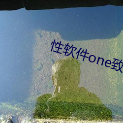 性软(ruǎn)件one致敬韩寒app