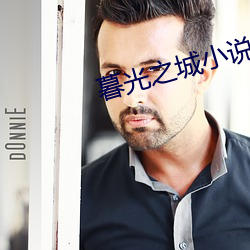 暮光之城小说