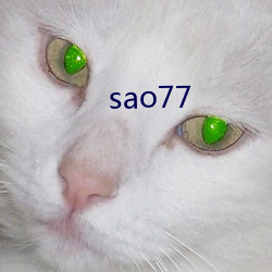 sao77