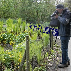 针孔直播 （膏场绣澮）