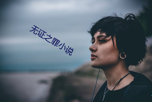 無證之罪小說