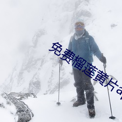 免费榴莲黄片app