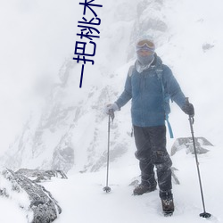 一把桃木梳