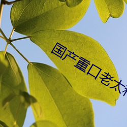 国(guó)产重口老(lǎo)太和小伙