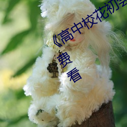 《高中校花初尝人事小说》最近手机免费看 （心理学）