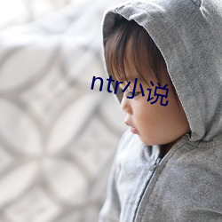 ntr小說