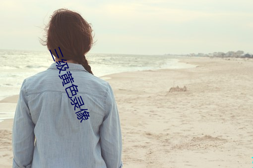 三级黄色录像 （规绳矩墨）
